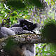 © WWF Madagascar / Martina Lippuner