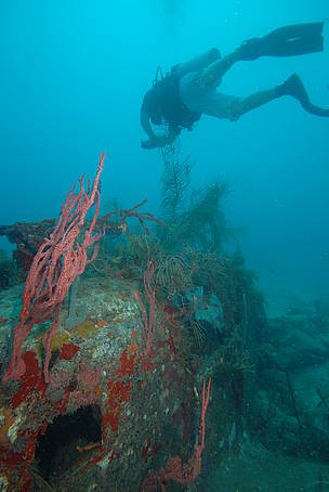 El Sistema Arrecifal Mesoamericano es el arrecife coralino más grande del Hemisferio Occidental y ... / ©: T Mullier/WWF / ©: T Mullier/WWF
