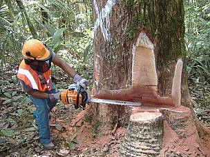  / &copy;: WWF Guianas