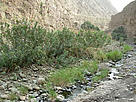 / &copy;: EWS-WWF