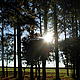 Sunshine in the San Rafael reserve © Helen Beynon