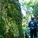 Niki next to a grandfather tree © Helen Beynon