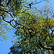 San Rafael Reserve © Helen Beynon