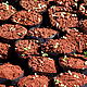 WWF Seedlings © Helen Beynon