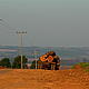 Illegal Logging © Helen Beynon