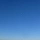 Lonesome Tree © Helen Beynon