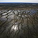 &copy; Rezac / WWF-UK