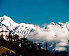  Mount Pandim (6691 mts) with pine covered hills in the foreground, Kanchenjunga National Park, Sikkim, India.