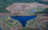 Wetlands area surrounded by the typical Yakutia agricultural landscape, birch groves and meadows, ... / &copy;: WWF-Canon / Hartmut JUNGIUS