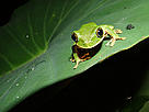  / &copy;: Burgess / WWF-US