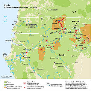 The spread of ebola across Central Africa, 1994-2003. Ebola epidemic outbreaks across the Congo ... / &copy;: UNEP/GRID-Arendal. Sources: Lahm, S., A., Morbidity and Mortality of Wild Animals in Relation to Outbreaks of Ebola Haemorrhagic Fever in Gabon, 1994—2003, Elsevier, 2006; Bermejo, M., Ebola Outbreak Killed 5000 Gorillas, Science, 2006; Global Forest Watch.