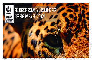 Yaguarete, Jaguar / &copy;: WWF / Fernando Allen