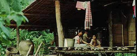 Karen Hill tribes living in balance with nature. Huay Kha Khaeng Wildlife Sanctuary, Thailand. / ©: WWF-Canon / Hartmut Jungius Karen Hill tribes living in balance with nature. Huay Kha Khaeng Wildlife Sanctuary, Thailand. rel=