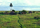 Village of Bisa tribe, fishermen Chikuni, Bangweulu Zambia. / &copy;: WWF-Canon / Roger LeGUEN