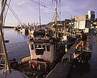 Newlyn commercial port for UK fishing boats