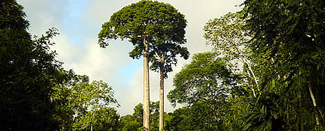  / &copy;: WWF / Laura SEQUEIRA