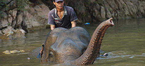  / &copy;: WWF Laos