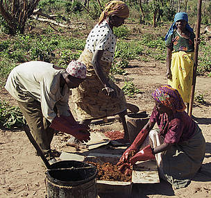 Making elephant dung-and-chilli bombs to deter raiding elephants, Mozambique. / ©: Lyn Treloar / WWF / ©: Lyn Treloar / WWF