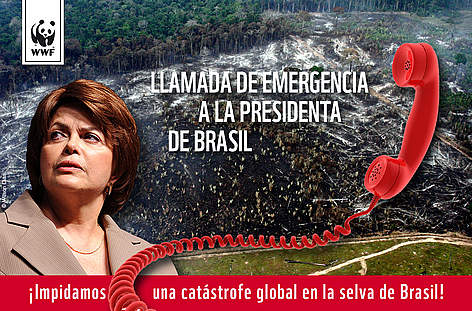 Llamada de Emergencia de Brasil / ©: WWF rel=