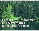 Forest Law Enforcement and Governance Ministerial Process