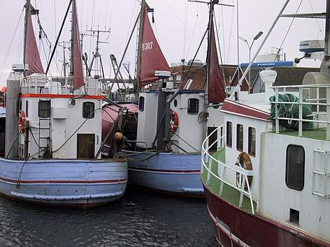 Fishing boats in port / ©: Alle Tiders Læsö rel=