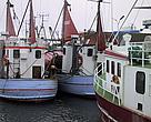 Fishing boats in port