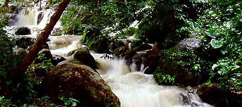 Conservando los bosques en las montañas, el Programa de Agua Dulce asegura que haya suficiente agua ... / ©: WWF / Peter ROCKSTROK / ©: WWF / Peter ROCKSTROK