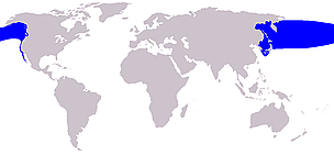 Pacific northern right whale range / ©: Wikipedia Pacific northern right whale range / ©: Wikipedia
