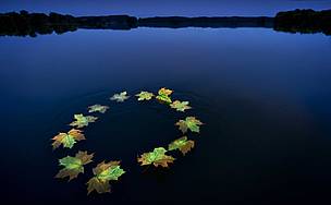 EU policies and legislation can provide a good framework for sustainable management of the Danube ... / ©: European Community / ©: European Community