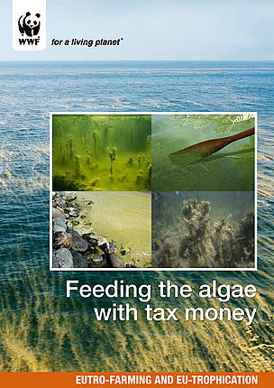 Report - Feeding the algae with tax money: EUTRO-farming and EU-trophication