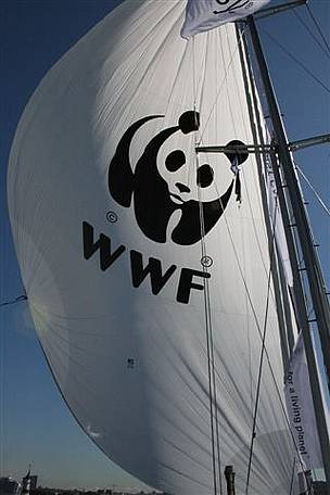 WWF representatives will be lead through the North-East passage by explorer Ola Skinnarmo on a sailing boat, such is the lack of sea ice in the area in recent summers. (June 2009)
