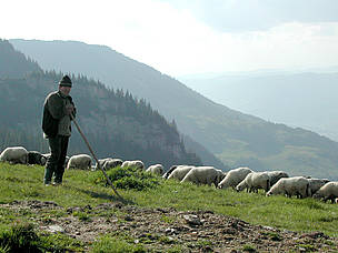 The rich mosaic landscape of Maramures in northern Romania has been created over centuries -- and ... / ©: WWF DCP RO / ©: WWF DCP RO