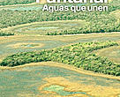 Factsheet Programa Pantanal