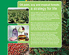 Palm oil, soy and tropical forests: a strategy for life!