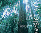 GFTN Quarterly Newsletter - February 2009