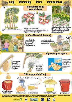 Honey Poster