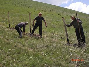 Fencing of the planting area / ©: WWF Armenia Fencing of the planting area / ©: WWF Armenia