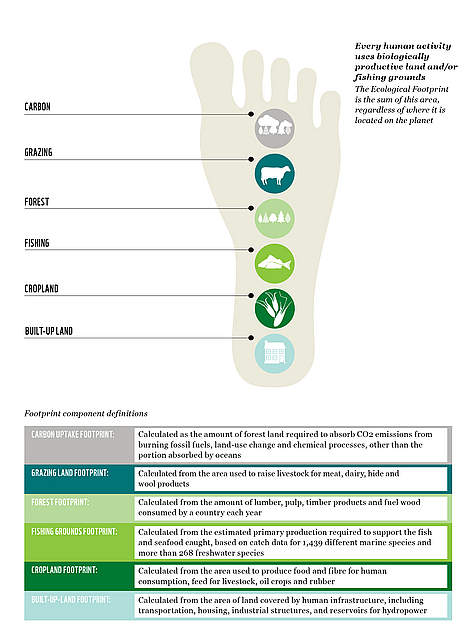 Figure 15: Every human activity uses biologically productive land and/or fishing grounds
The ... / ©: WWF /Footprint Network rel=