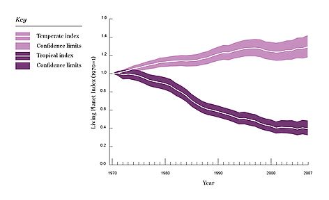 Figure 6: The Temperate LPI & the Tropical LPI The temperate index shows an increase of 29% ... / &copy;: WWF/ZSL