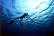 Increasing uncontrolled tourism. / ©: WWF Increasing uncontrolled tourism. / ©: WWF