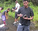 Fiji National University gradute Filimoni Gutugutuwai observed the presence of invertebrates at Marou, at the headwaters of the Ba River 