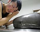 Every death brings the Finless Porpoise closer to extinction.  