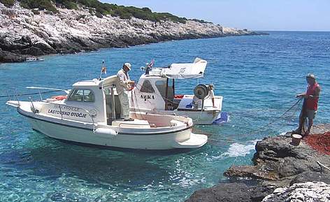 Fish census in Croatia © Nika Staglicic / ©: © Nika Staglicic rel=