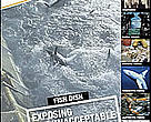 Fish Dish report cover