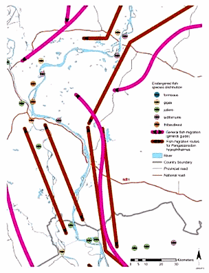 fish migration / &copy;: MRCS Database 