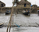 Casas de pescadores de camarón, en el Parque Nacional de Sundarbans, en Bangladesh. Estas casas de pescadores de camarón están amenazados por el aumento de los niveles de agua debido al cambio climático y las frecuentes tormentas que azotan la zona
