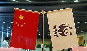 Active in the country since 1980, WWF was the first international conservation organization invited ... / ©: Zhang Yifei / WWF-China / ©: Zhang Yifei / WWF-China
