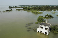 Environmentally destructive activities like deforestation increase the risks of floods. / ©: WWF-Canon / Michel Gunther / ©: WWF-Canon / Michel Gunther
