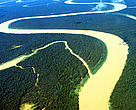 Amazonas del Brasil