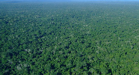   / &copy;: WWF Spain